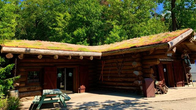 1. Juli 2019. Erlebnis-Zoo Hannover.