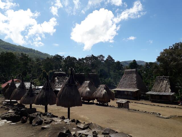 Grasbedeckte  Wohngebäude, Reisspeicher und kleine Palaverhäuschen für den Plausch mit den Ahnen aus dden Gräbern dahinter