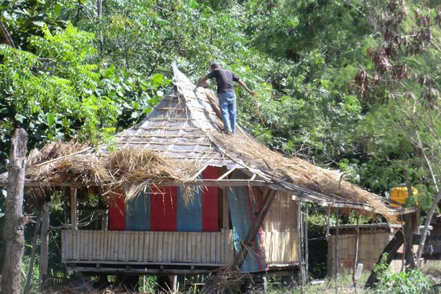 Ein Dach wird mit Gras gedeckt. Weil sich hier auch Surf-touristen wohl fühlen sollen, zur Sicherheit ganz untendrin eine Plastikfolie.