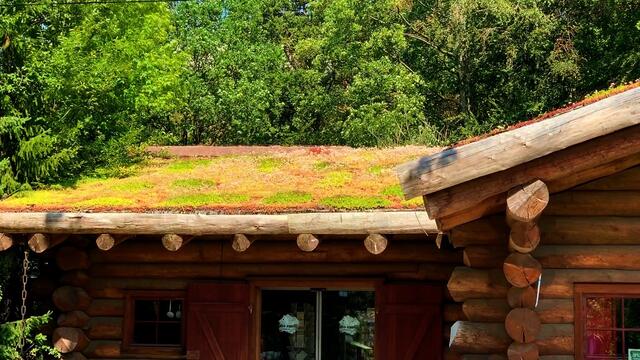 1. Juli 2019. Erlebnis-Zoo Hannover.