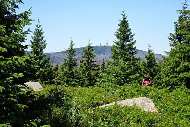 ein Wanderfreund auf dem Forstmeister Sietz - Weg, im Hintergrund der Brocken