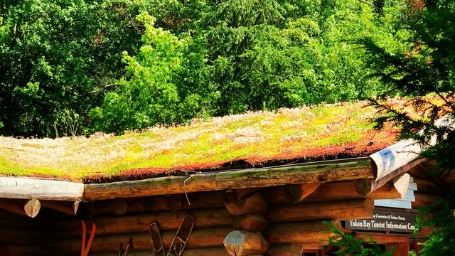 1. Juli 2019. Erlebnis-Zoo Hannover.