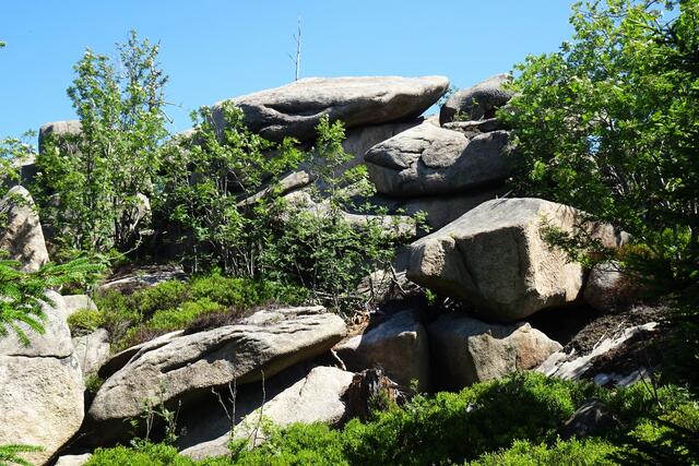 Hohneklippen