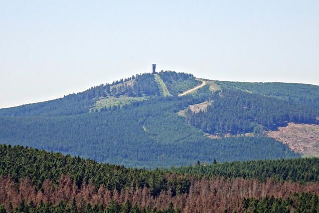 der Wurmberg, im Vordergrund sieht man den zerstörten Fichtenwald