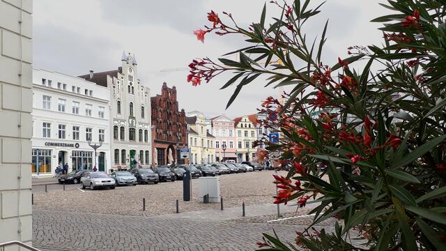 Vor dem Eingangsbereich des Rathauses verbreiten die üppig blühenden Kübelpflanzen ein mediterranes Flair. Foto: Helmut Kuzina