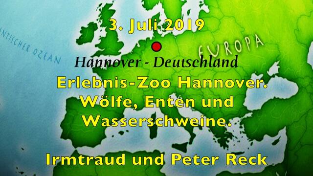 3. Juli 2019. Erlebnis-Zoo Hannover. Wölfe, Enten und Wasserschweine.