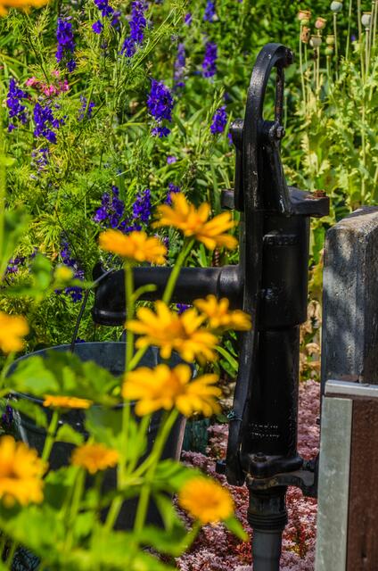 Wasser ist ein wichtiges Gut im Garten