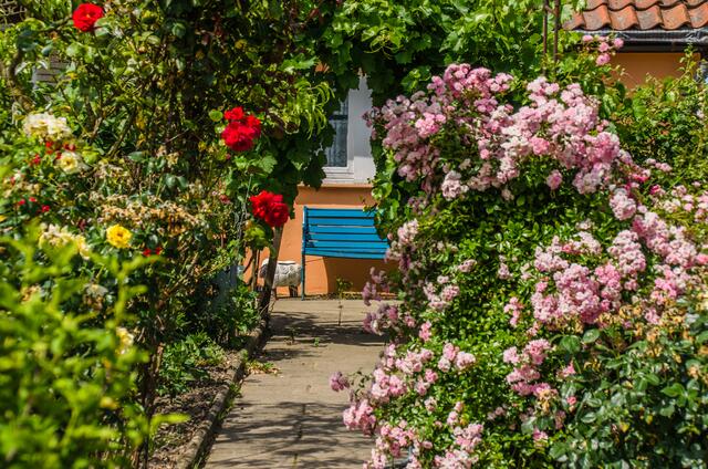 der Blumengang zur Bank