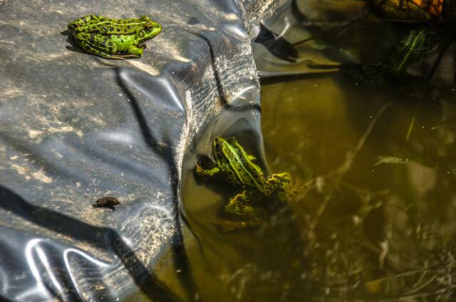 ...darf ich oder darf ich jetzt nicht nach oben?