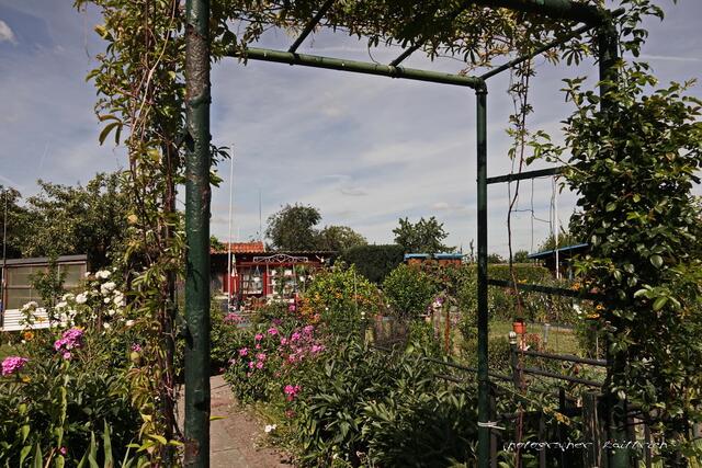 Der Blick ins Gartenparadies...