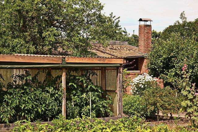 Tomatenliebhaber....