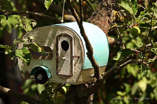 Modernes Vogelhaus...