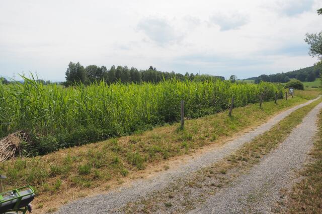 ...sieht so eine Kläranlage aus? In Wildpoldsried schon....