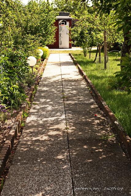 Die gerade Linie....