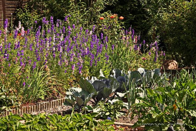 Nutz- und Ziergarten....