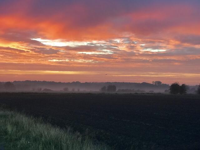 Auengärten Nord vom Standort "Straße im Wiebusche"