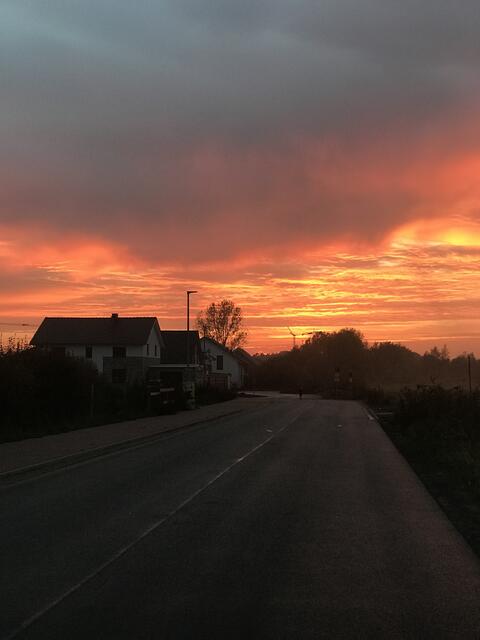 Blick ins Auenland von der Strasse im Wiehbusche