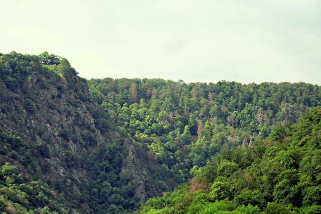 Blick vom Parkplatz auf das Bodetal
