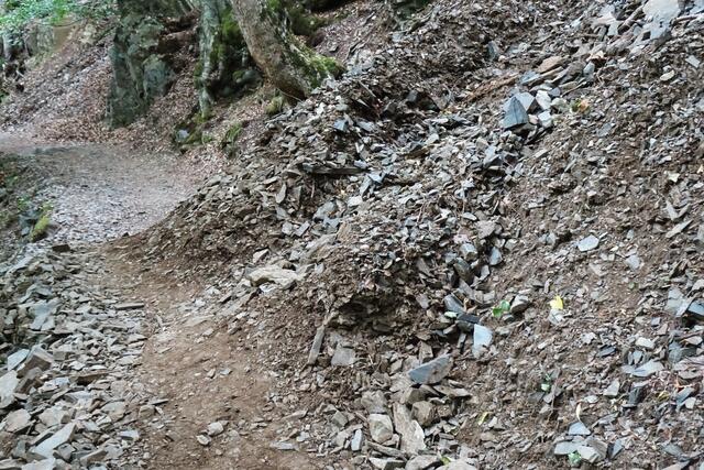 Felsabrutschungen auf dem Harzer Hexenstieg im Bodetal