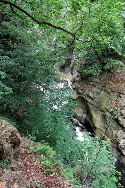 Der Bodekesssel, ein Auslichten der, den Blick behindernden, Büsche wäre angebracht. Durch den besonders im Sommer niedrigeren Wasserstand ist das Rauschen der Bode an dieser Stelle nicht mehr hörbar. Seit der Überleitung von Bodewasser zur Rappbodetalsperre (1959) ist der Wasserstand der Bode dauerhaft niedriger geworden..