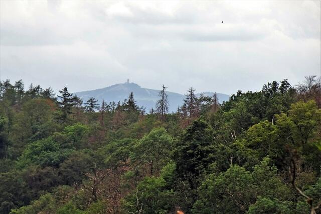 Blick vom  Bodeblick (Nähe Prinzensicht) auf den ca. 30 km entfernten Wurmberg