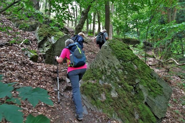 auf dem Weg zur Humboldt - Eibe