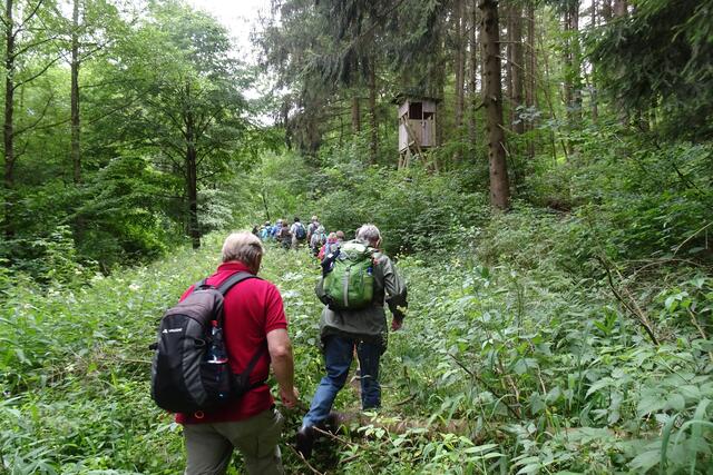 auf dem Weg zur Prinzensicht