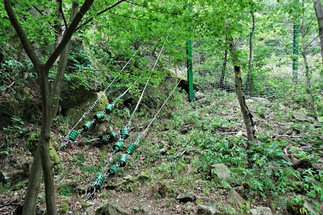 hier im Bodetal musste mit Stahlnetzen ein Berghang gesichert werden