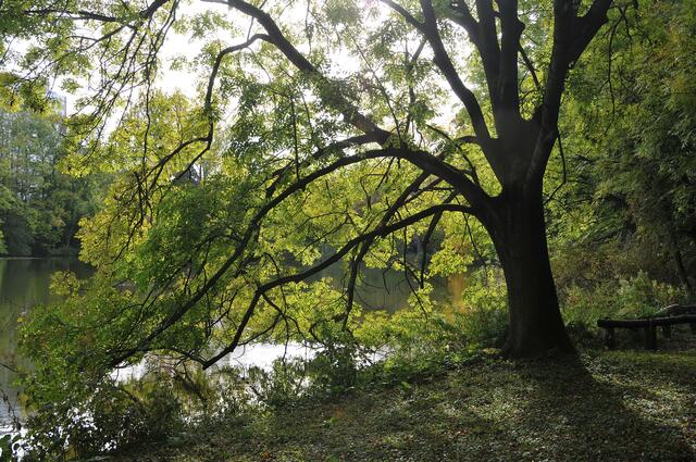 Im Hermann-Löns-Park