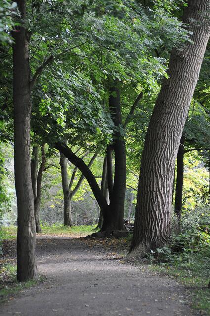 Der Wiehbergpark in Döhren.