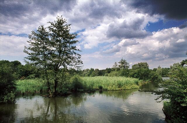 Auenlandschaft im Hermann-Löns-Park