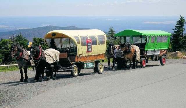 Kremser auf dem Brocken