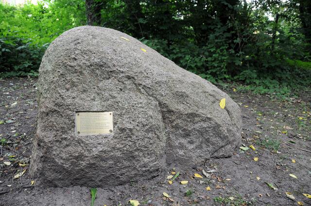 Findling im Wiehbergpark.