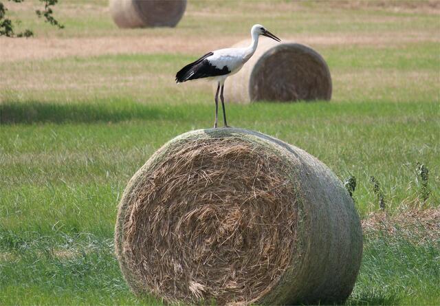 Eine gute Startposition ...