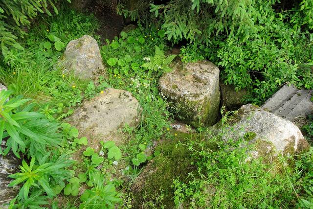 hier am Bodesprung (Quelle) ist vom Wasser keine Spur zu sehen