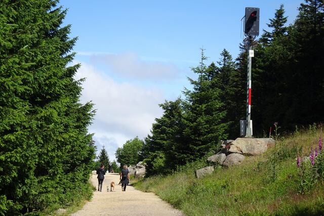 auf dem Goetheweg, rechts Signal der Brockenban