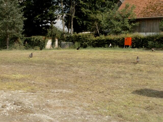 16:50 Uhr: Wir schaffen es nicht, bis zum Spätnachmittag das Festgelände in den ursprünglichen Zustand zurückzuversetzen? Da lachen ja die Hühner! Nur der Baustromverteiler erinnert noch daran, daß hier noch vor 20 Stunden ausgelassen gefeiert wurde.