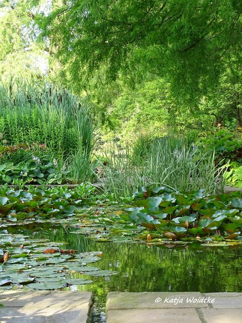 Idylle an den Wasserbecken im Stadtpark Hannover (Foto: Katja Woidtke)