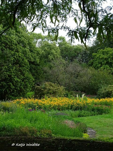 Staudengarten im Stadtpark Hannover (Foto: Katja Woidtke)