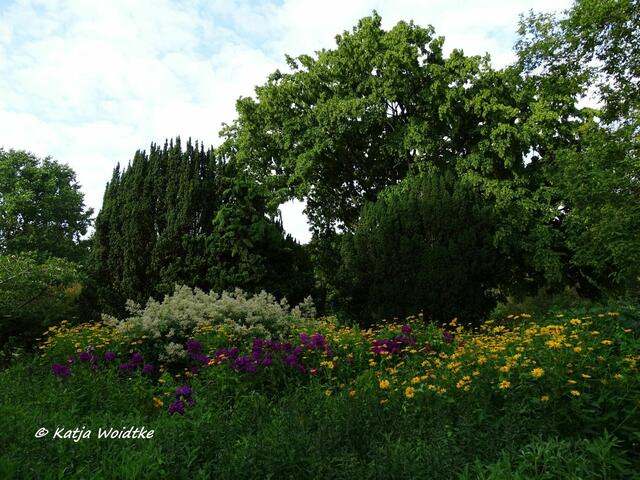 Staudenbeete im Stadtpark Hannover (Foto: Katja Woidtke)