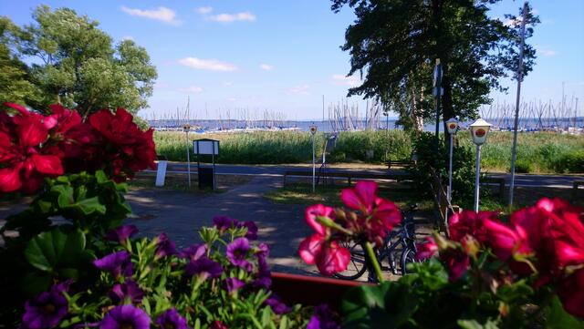 Blick von einer Restaurantterrasse aufs Steinhuder Meer