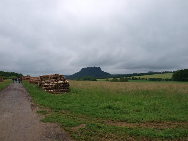 Blick auf den Tafelberg Lilienstein