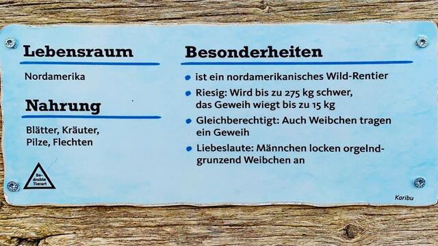 21. Juli 2019. Erlebnis-Zoo Hannover. Karibu.