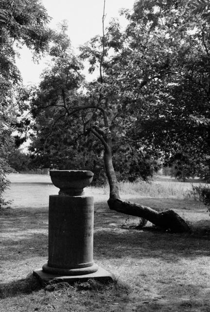 Der Hinübersche Garten in Marienwerder