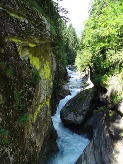 Passer zwischen den Felsen