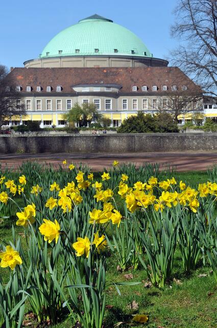 Der Stadtpark mit Stadthalle