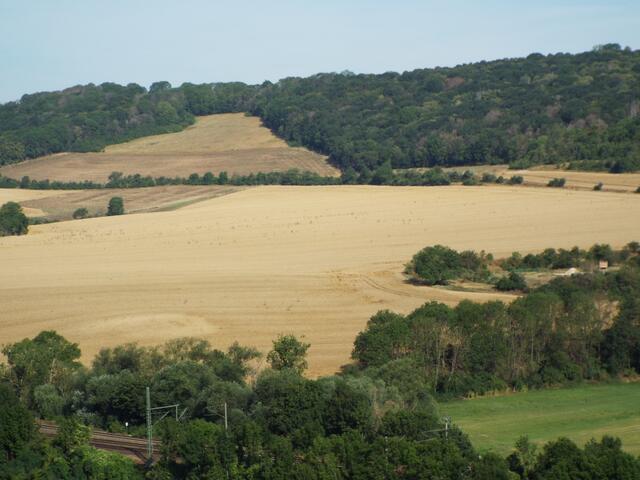 Oberhalb des Dreiecks,dieser sichtlich gesunde Wald muss für Naumburger Ortsumgehungslügen weg...