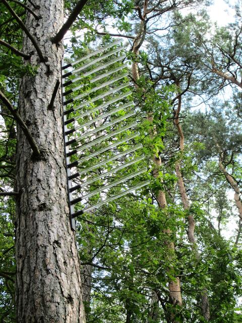 Der Glas-Kamm von Wladimir Olenburg.