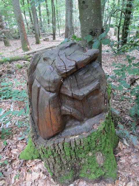 Nicht mehr zu den offiziellen Kunstobjekten am Weg gehört unter Anderem dieser Hirschkäfer, der auf das hiesige Vorkommen hinweist.