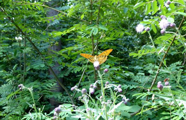 Auch er ließ sich gerne fotografieren.